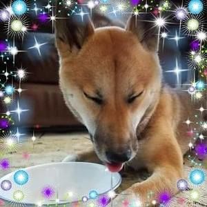 Meet your Posher, Roderick